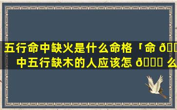 五行命中缺火是什么命格「命 🌿 中五行缺木的人应该怎 🐅 么办」